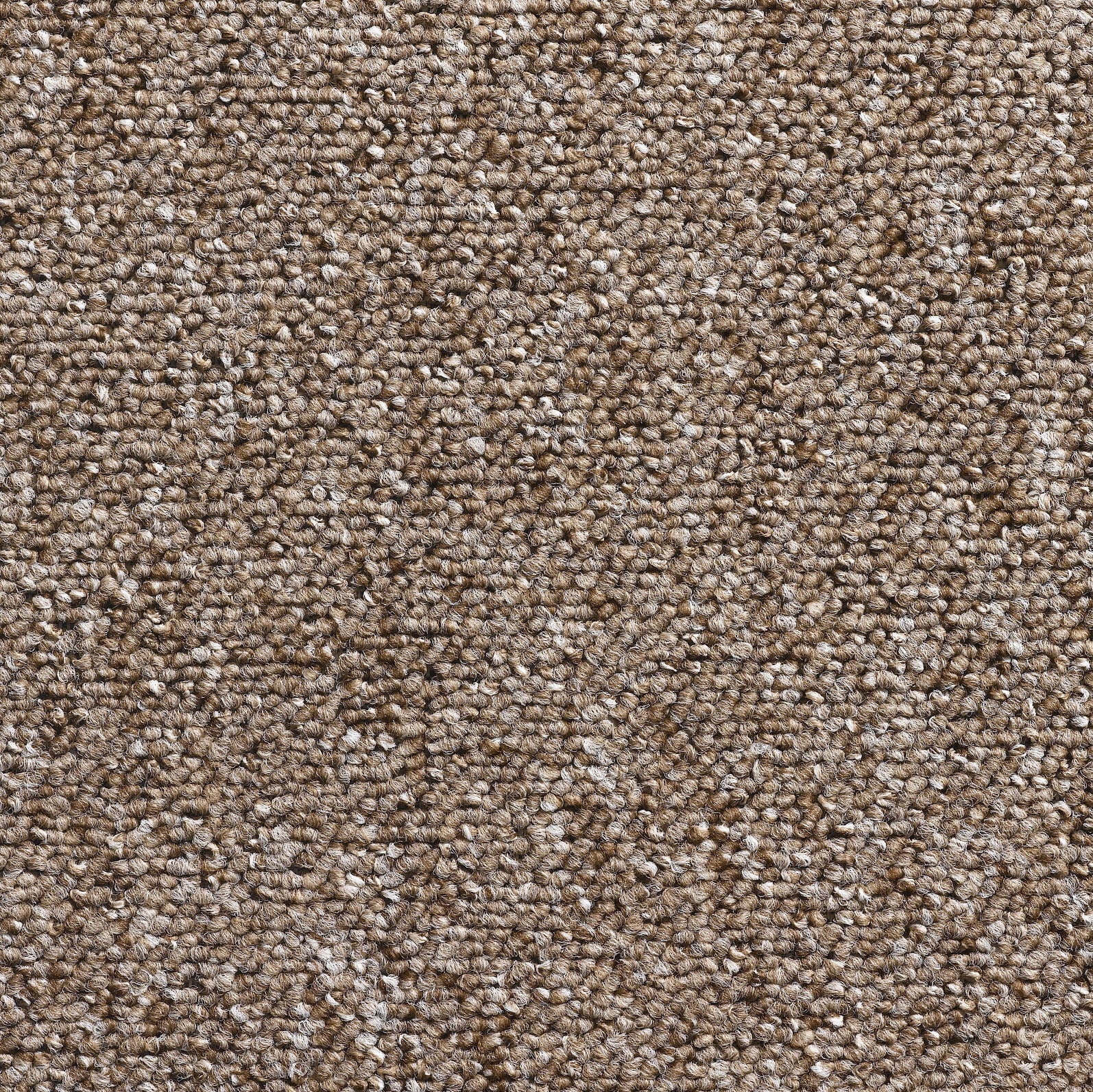 Aveiro_500_cm_-_9607