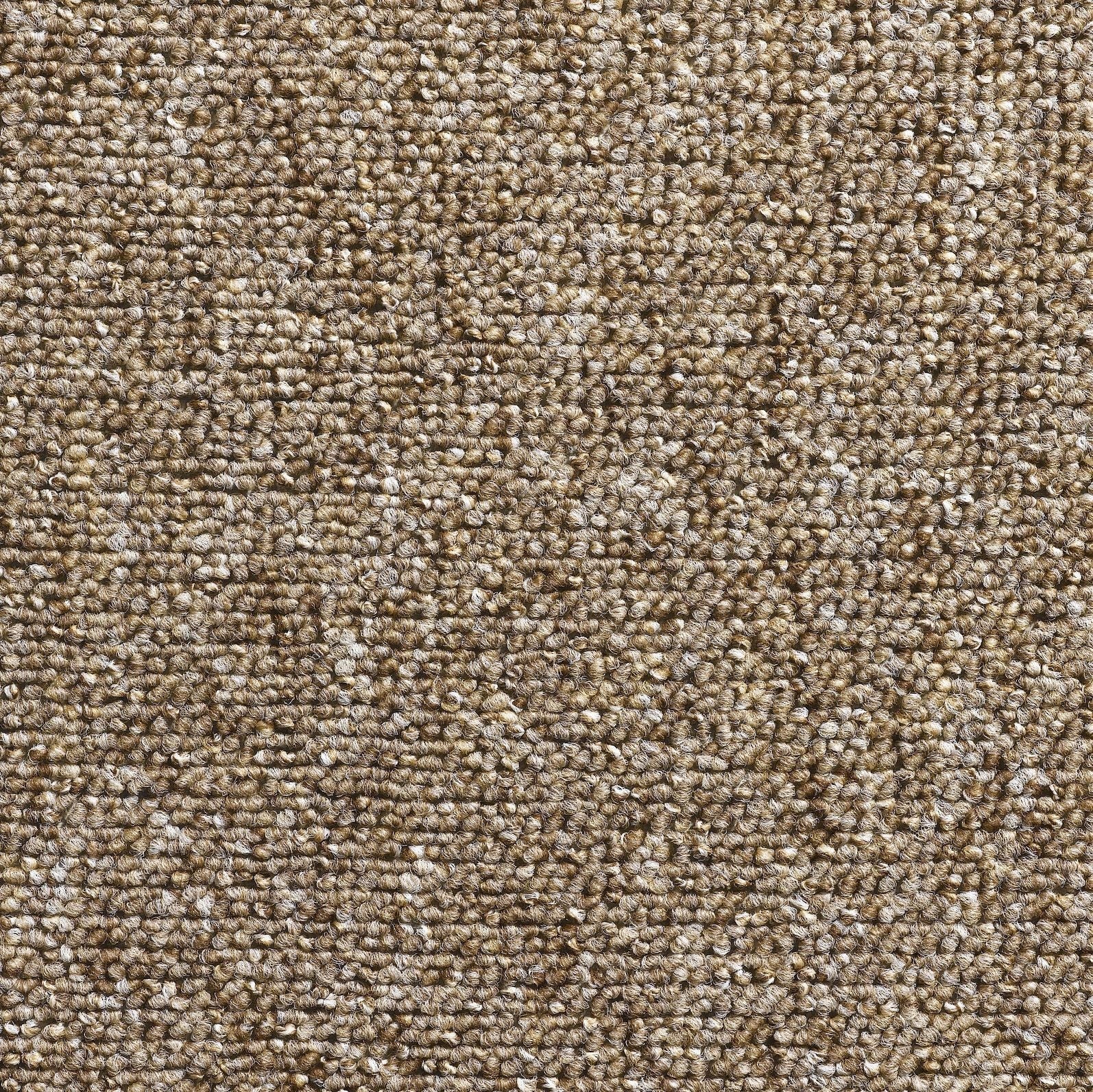 Aveiro_400_cm_-_9608