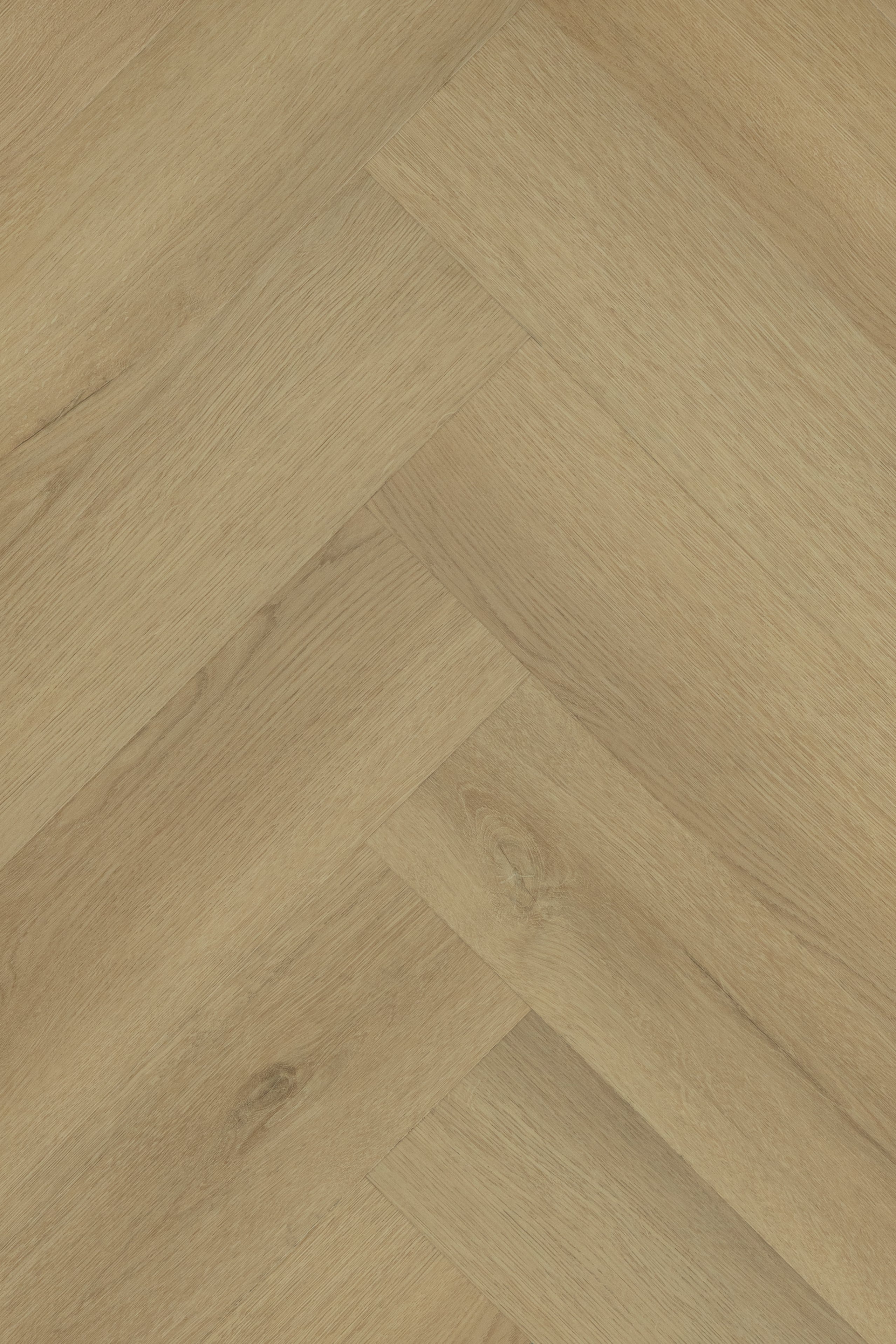 Bergamo_Visgraat_click_-_3103