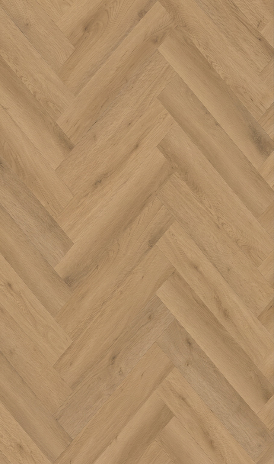 Dolomiti Walvisgraat 1400_3400.jpg