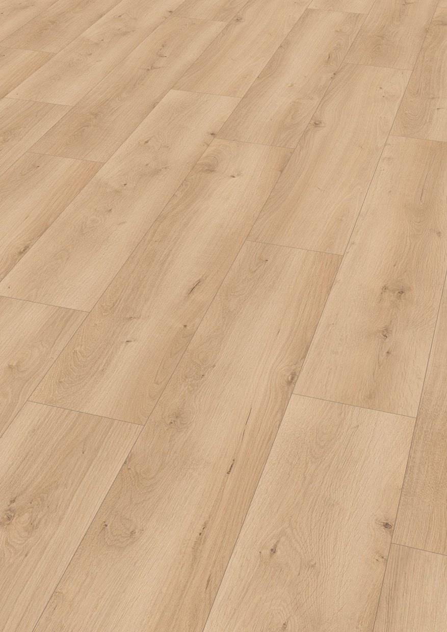 Lion 8 mm 2113 - afbeelding 3