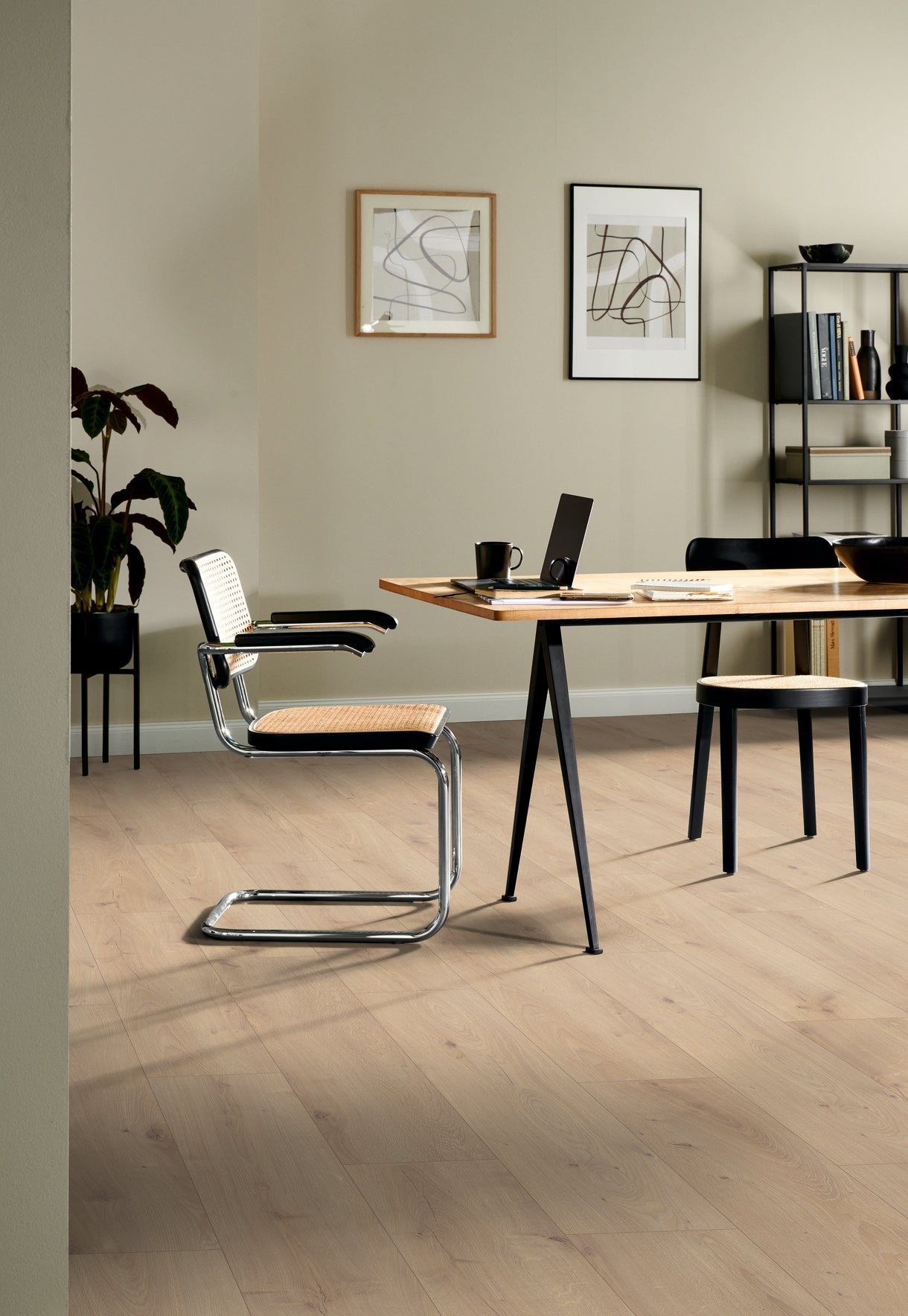 Lion 8 mm 2133 - afbeelding 2