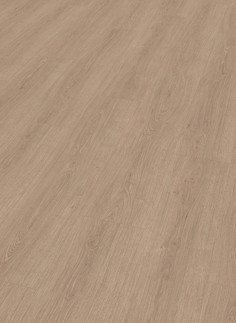 Lion 8 mm 2029 - afbeelding 3