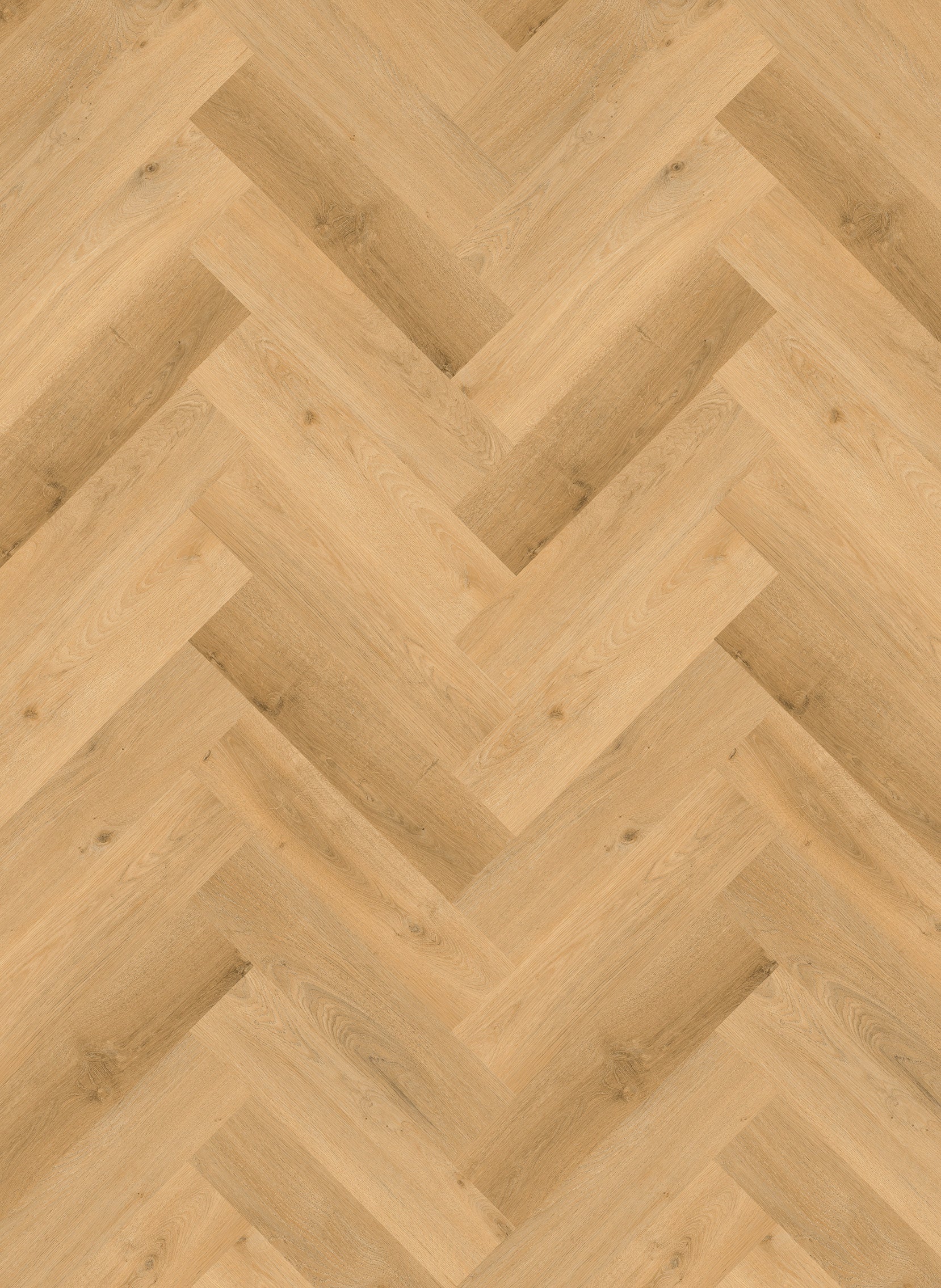 Vario Visgraat 5400 (rigid click)