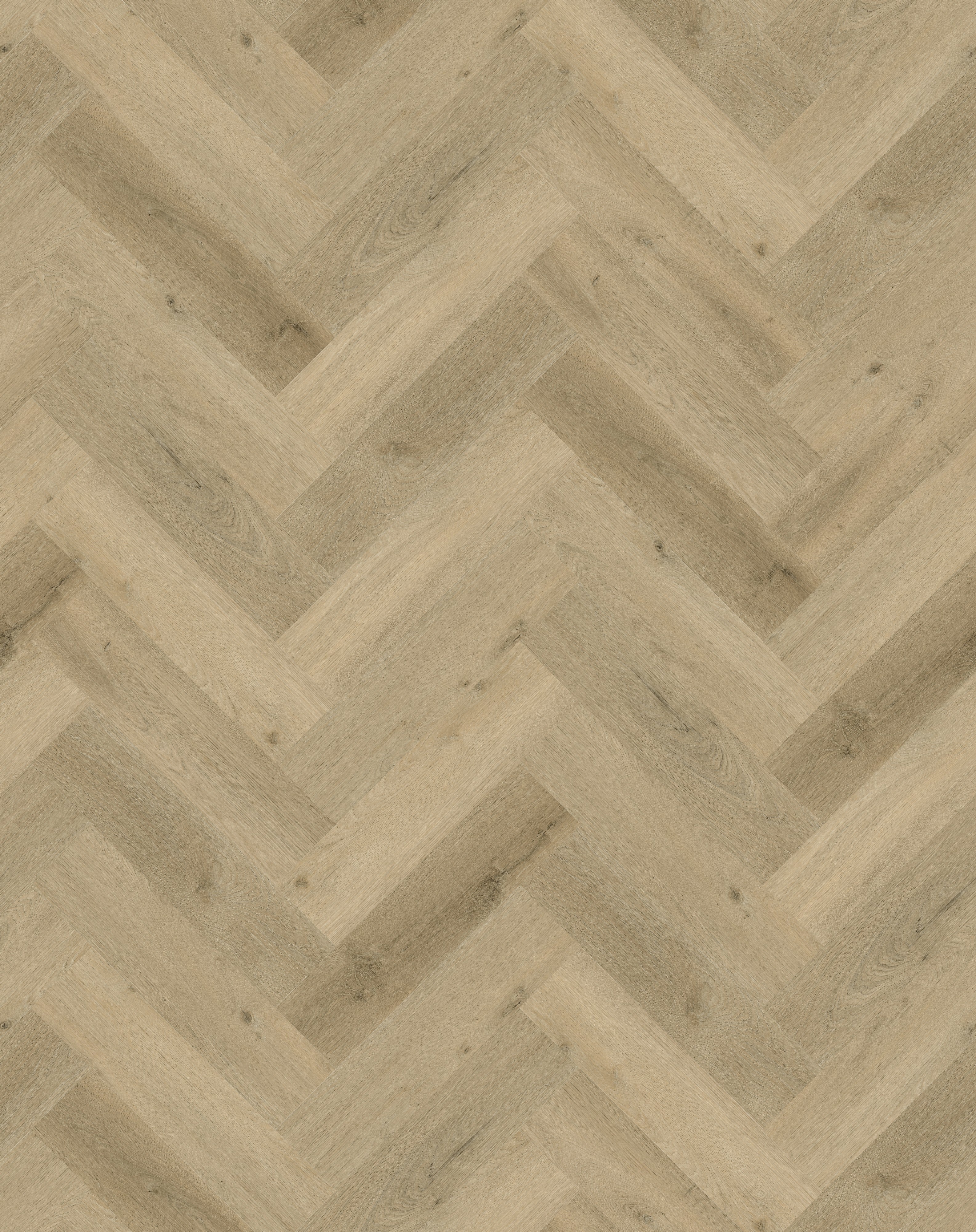 Ravenna_Visgraat_DB_-_4405