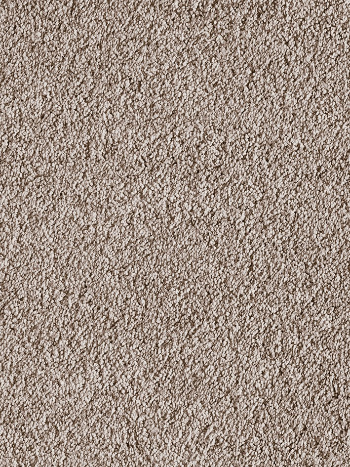 Viceroy_400_cm_-_141