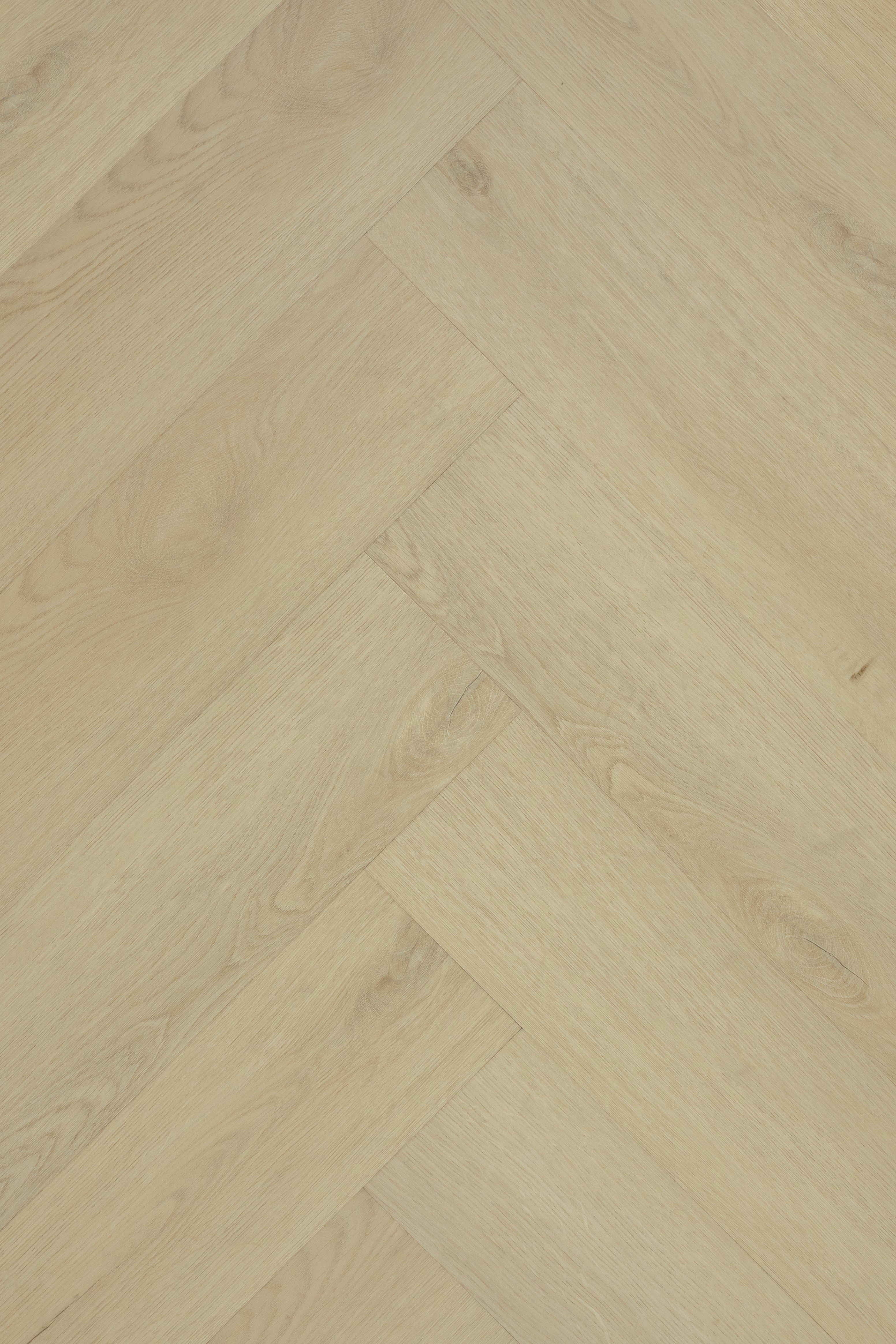 Bergamo_Visgraat_DB_-_2101