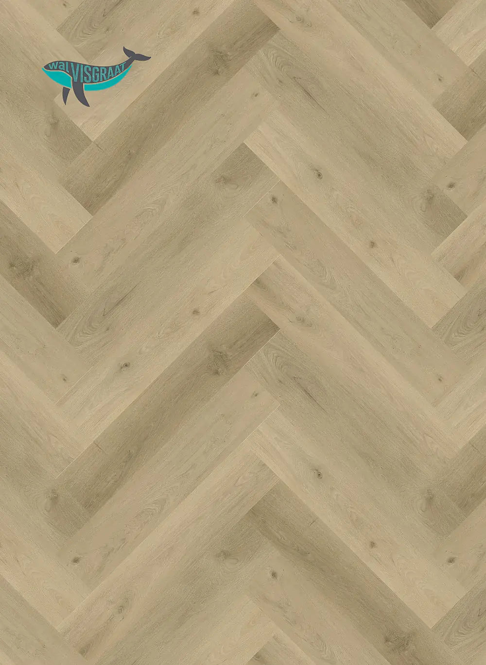 Ravenna Walvisgraat click