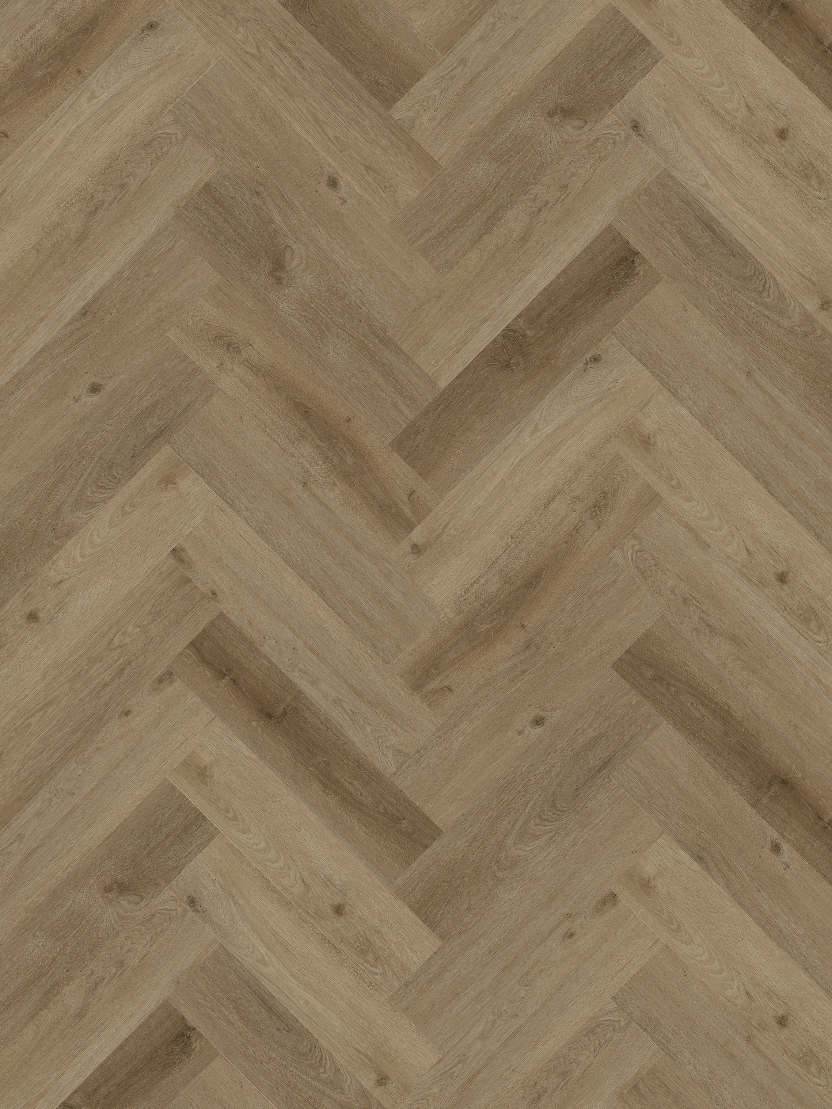 Ravenna_Visgraat_DB_-_4401