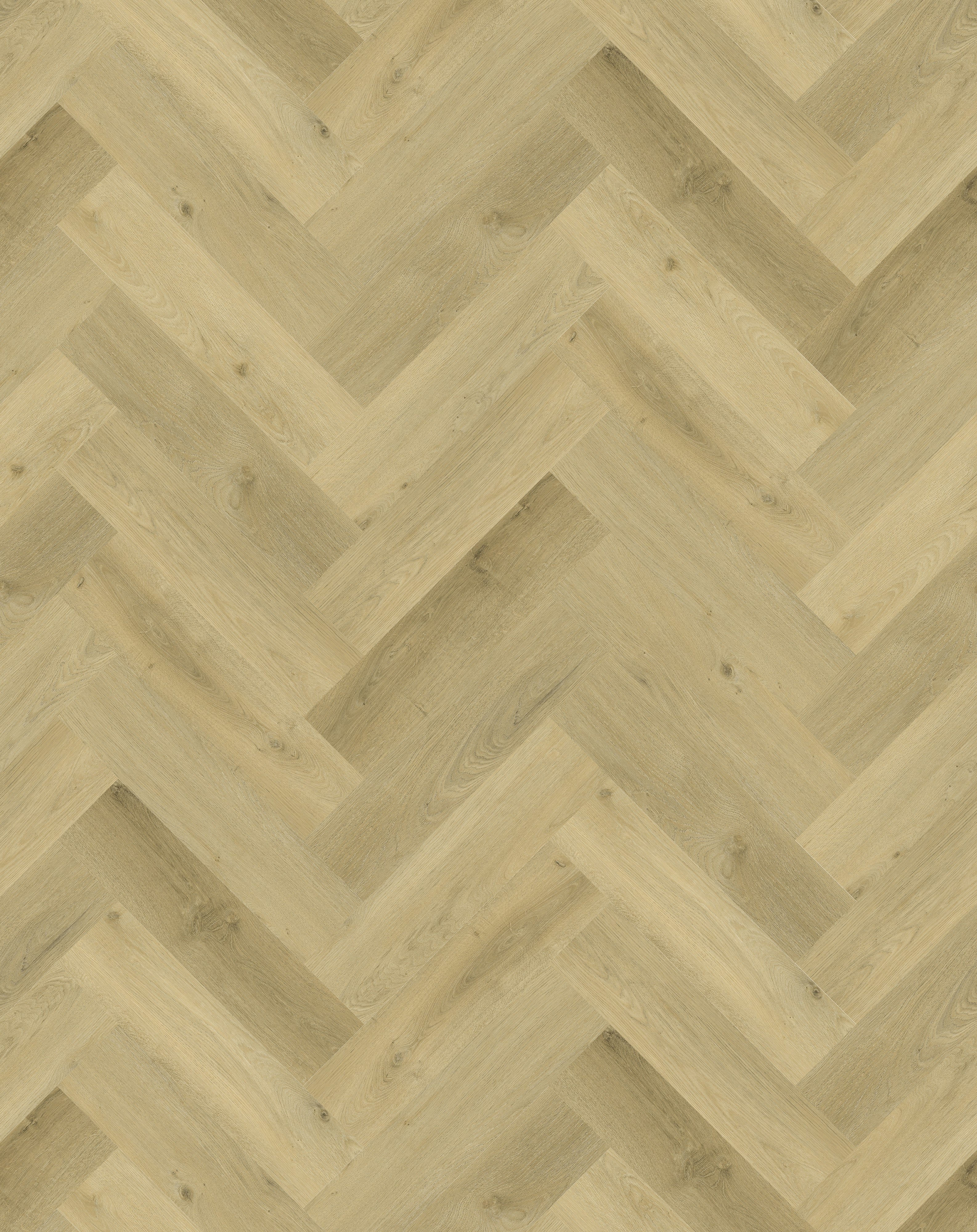 Ravenna_Visgraat_DB_-_4404