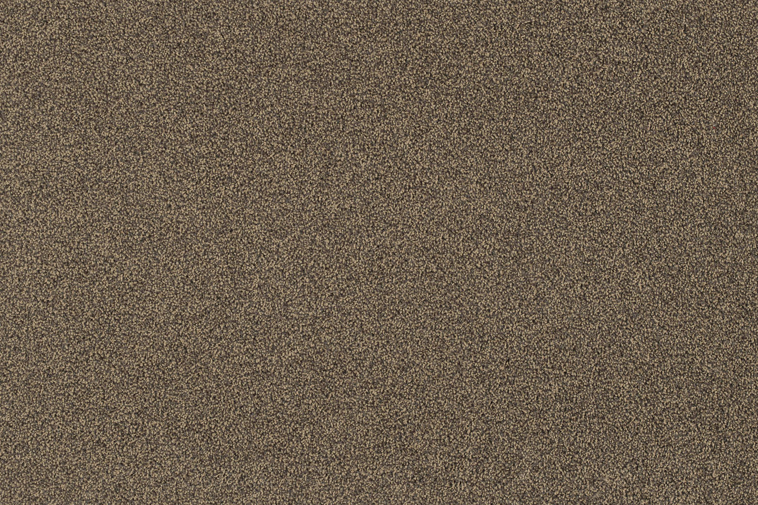 Savoy_43.jpg